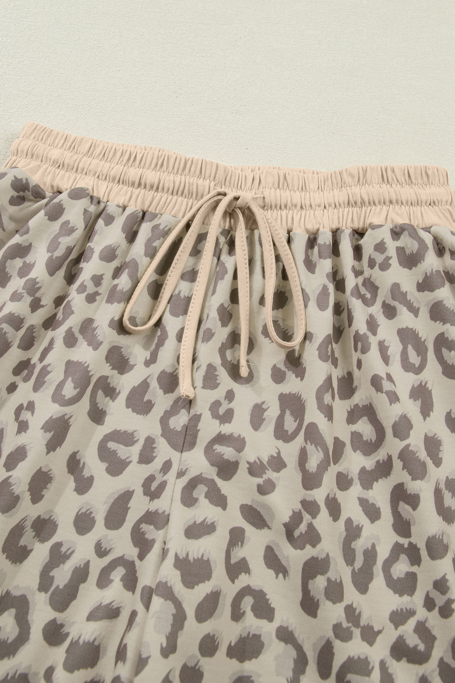 Rose V Neck Collar Leopard Printed 2pcs Short Set