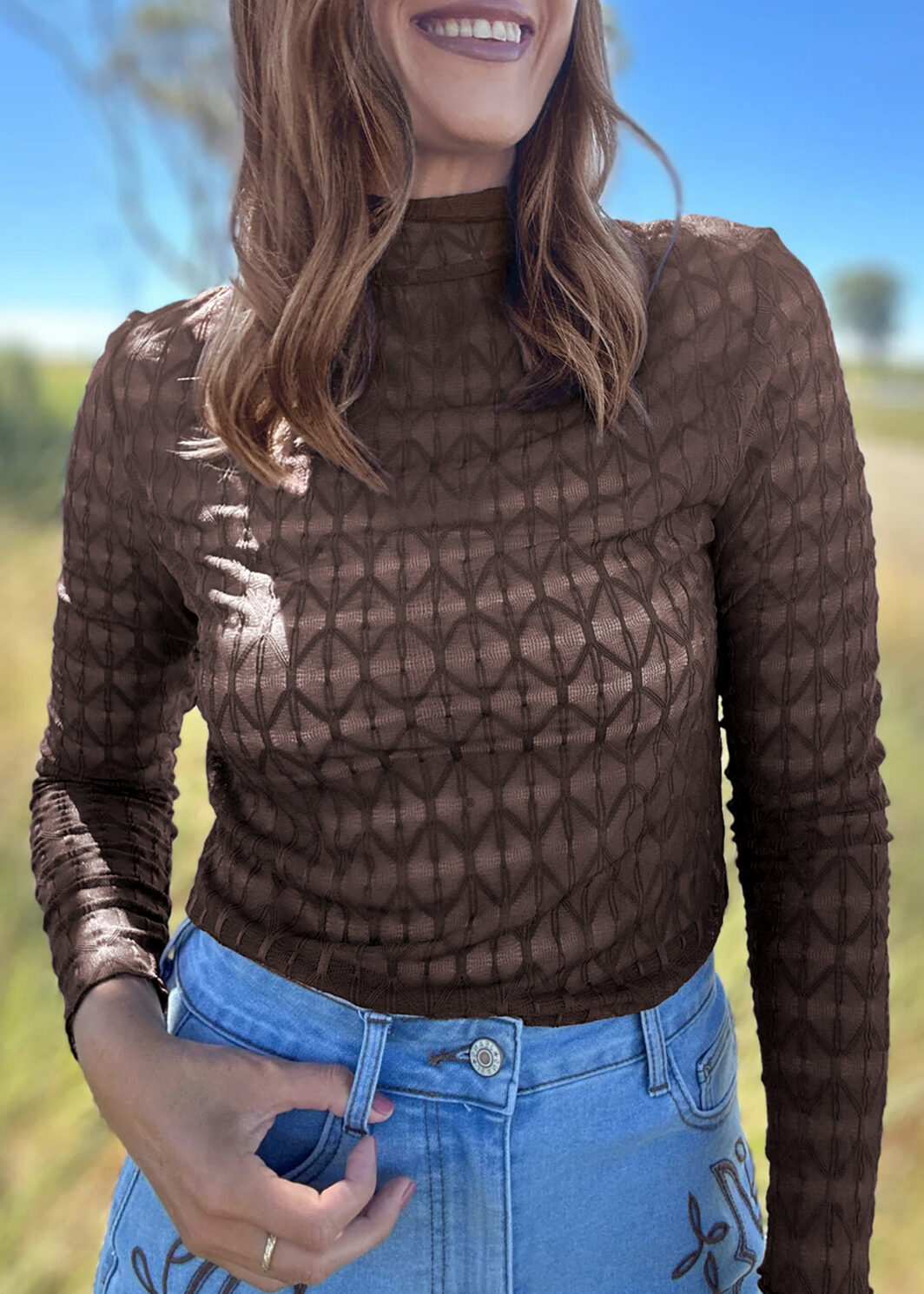 Chicory Coffee Sheer Textured Lace Stand Neck Long Sleeve Top