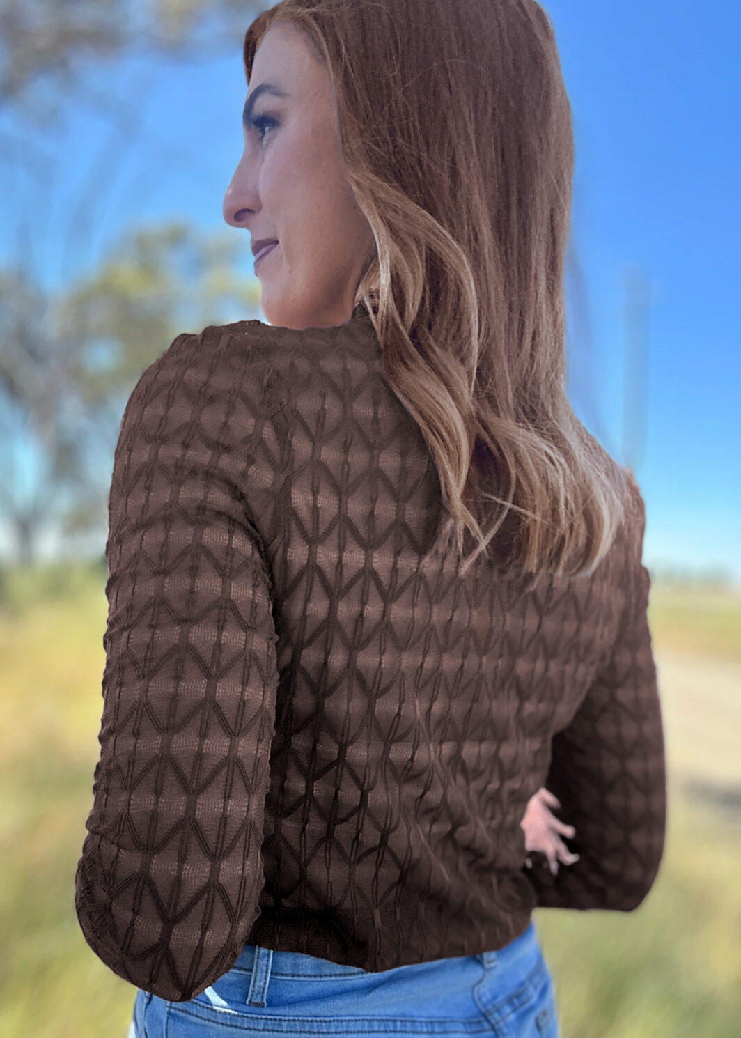 Chicory Coffee Sheer Textured Lace Stand Neck Long Sleeve Top